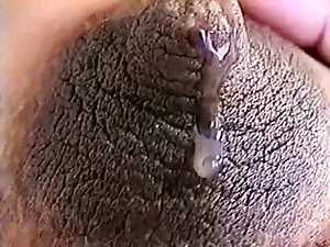 パープル-カット君が言ったように 女の子 ...