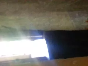 ダナ-ディアモンドは暗い肉を食べるのが大 ...