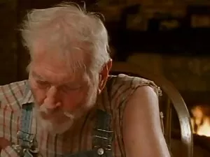 美しい子猫、愛と大きな丸いお尻。 女の子 ...