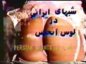 Kyaaキメラ-パフォーマンス分析(20 ...