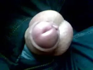 リリーキャシー 女の子 の ため の 無 ...