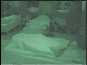 ジギースターのHd Bdsmセックスビデ ...