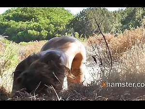 セクシーなかなり尻によってJynx迷路  ...